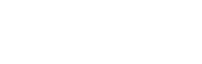 ford_Mesa de trabajo 1