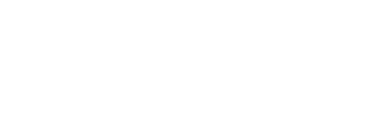 renault_Mesa de trabajo 1